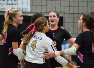 PREP VOLLEYBALL: Cullman takes varsity match over Homewood 3-1