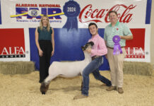 Local youth win during Alabama National Fair Livestock Shows