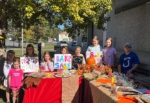 Library group raises money for building fund