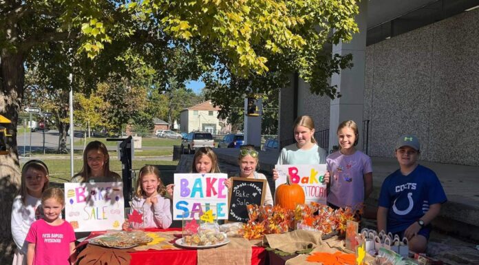 Library group raises money for building fund