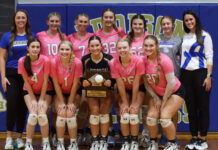 PREP VOLLEYBALL: Addison downs Lynn, Winston County to win county title