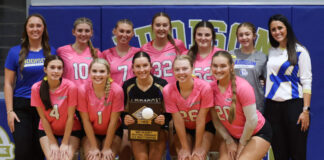 PREP VOLLEYBALL: Addison downs Lynn, Winston County to win county title