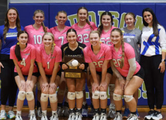 PREP VOLLEYBALL: Addison downs Lynn, Winston County to win county title