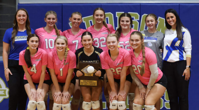 PREP VOLLEYBALL: Addison downs Lynn, Winston County to win county title