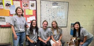 West Point High Beta Club supports Cullman County Animal Shelter