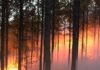 Fire Danger Advisory expands to all Alabama counties