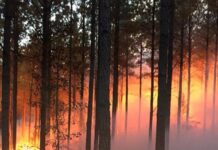 Fire Danger Advisory expands to all Alabama counties