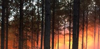 Fire Danger Advisory expands to all Alabama counties