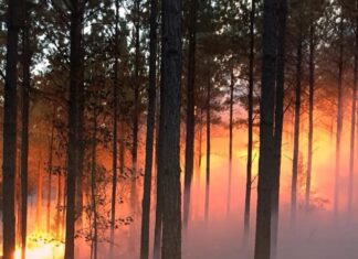 Fire Danger Advisory expands to all Alabama counties
