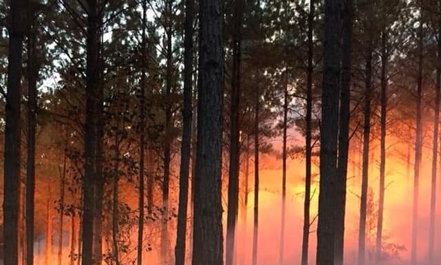 Fire Danger Advisory expands to all Alabama counties