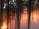 Fire Danger Advisory expands to all Alabama counties