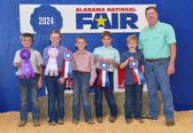 Local youth win during Alabama National Fair Sheep Show contests for Showmanship, Premier Exhibitor