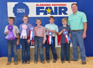 Local youth win during Alabama National Fair Sheep Show contests for Showmanship, Premier Exhibitor