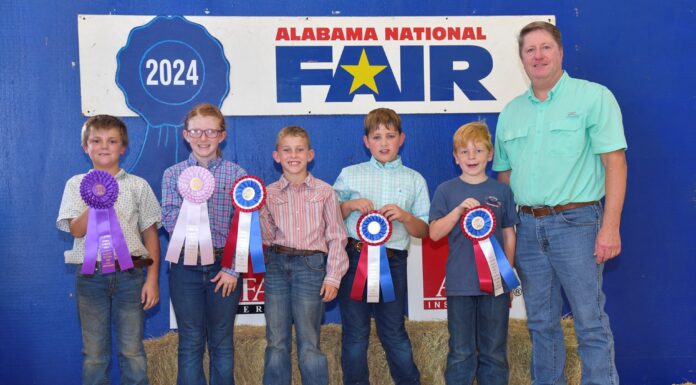 Local youth win during Alabama National Fair Sheep Show contests for Showmanship, Premier Exhibitor