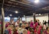 Little Pink Dress Benefit sees sold-out crowd