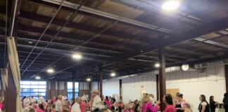 Little Pink Dress Benefit sees sold-out crowd