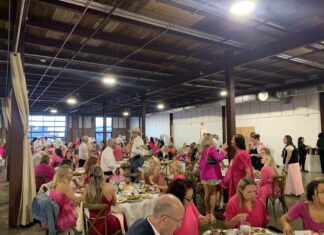 Little Pink Dress Benefit sees sold-out crowd