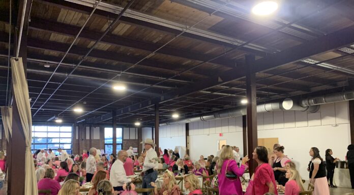 Little Pink Dress Benefit sees sold-out crowd
