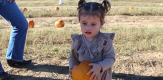 Hello fall, you gourd-geous thing