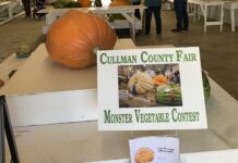 Monster veggies take over Exhibit Hall 2