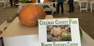 Monster veggies take over Exhibit Hall 2