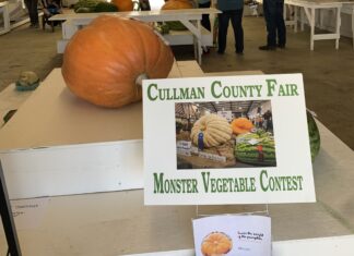 Monster veggies take over Exhibit Hall 2