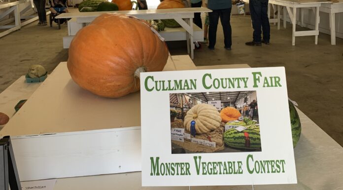 Monster veggies take over Exhibit Hall 2