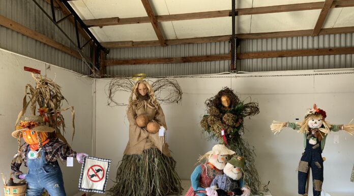 Birds beware: Scarecrows on display