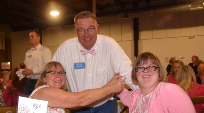 Little Pink Dress raises $70K