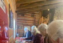 Vinemont council talks upcoming events