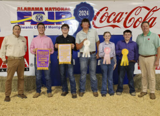 Local youth win during Alabama National Fair Livestock Shows contests for Showmanship, Premier Exhibitor