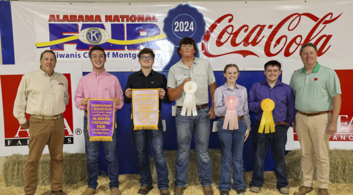 Local youth win during Alabama National Fair Livestock Shows contests for Showmanship, Premier Exhibitor