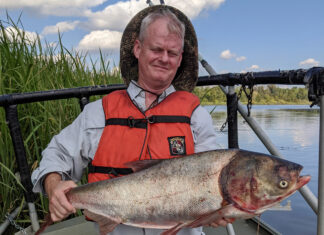 WFF Fisheries continues to monitor invasive carp species