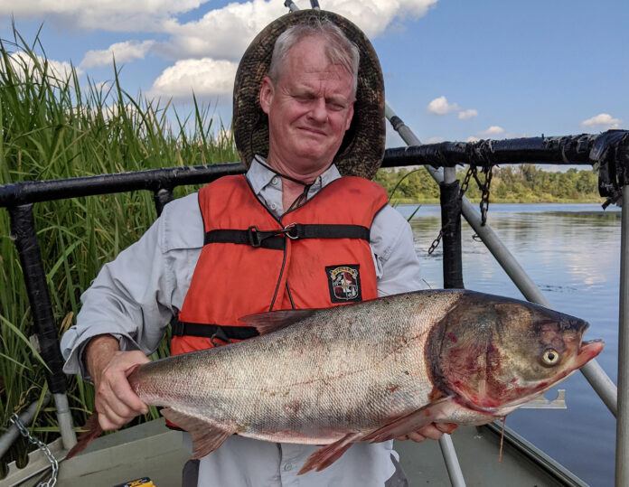 Silver carp Armstrong 01