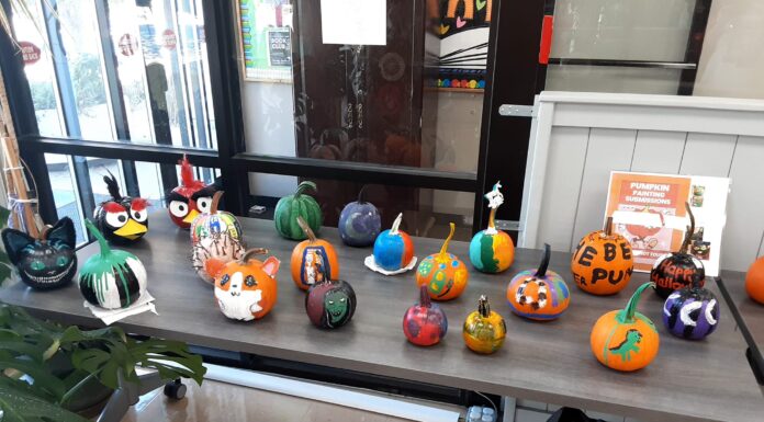 Painted pumpkins on display at library