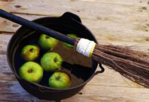 ACES: Enjoying fall festivals while keeping blood sugar in check