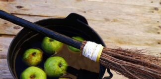 ACES: Enjoying fall festivals while keeping blood sugar in check