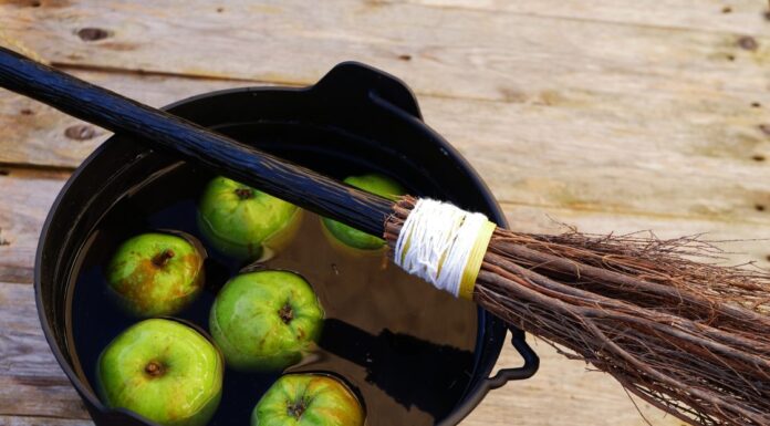 ACES: Enjoying fall festivals while keeping blood sugar in check