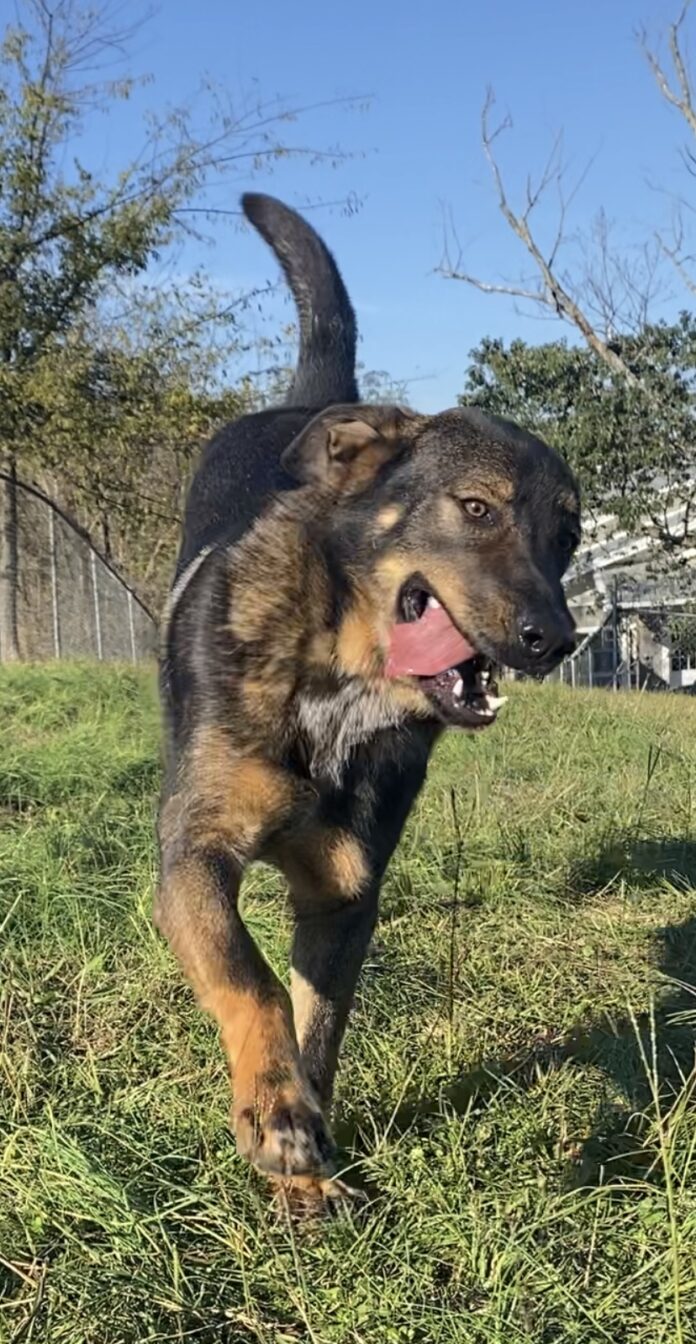 14D42D9D-5F6A-430F-884E-91711C4368A1