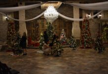 ‘Tinsel and Timber’