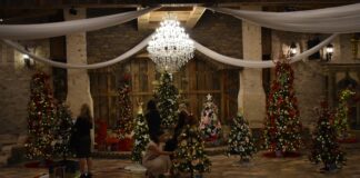 ‘Tinsel and Timber’