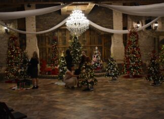 ‘Tinsel and Timber’