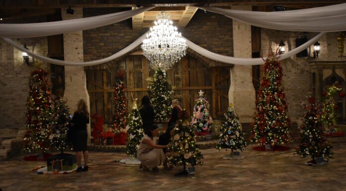 ‘Tinsel and Timber’