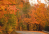 ALDOT: Drive safely during Thanksgiving holiday