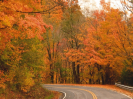 ALDOT: Drive safely during Thanksgiving holiday