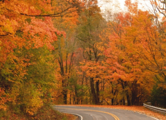 ALDOT: Drive safely during Thanksgiving holiday