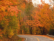 ALDOT: Drive safely during Thanksgiving holiday