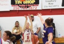 PREP BASKETBALL: Vinemont splits season openers against Madison County