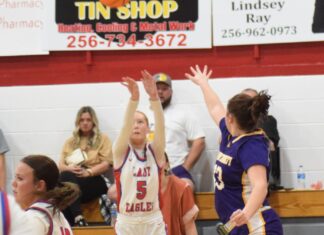 PREP BASKETBALL: Vinemont splits season openers against Madison County