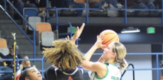 PREP BASKETBALL: Holly Pond, Cold Springs earn wins over Austin, Hackleburg
